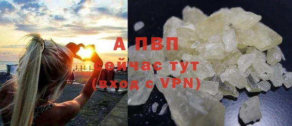 твердый Надым